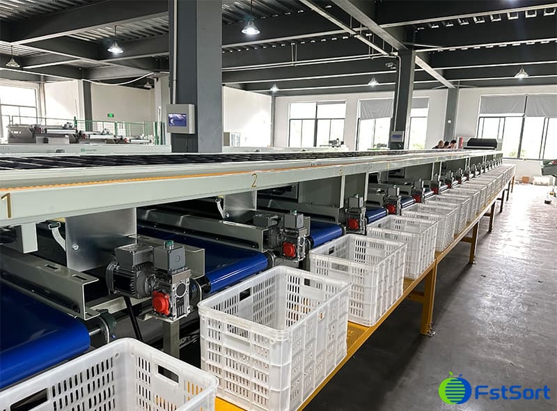 images/1698047874780potato processing line.jpg